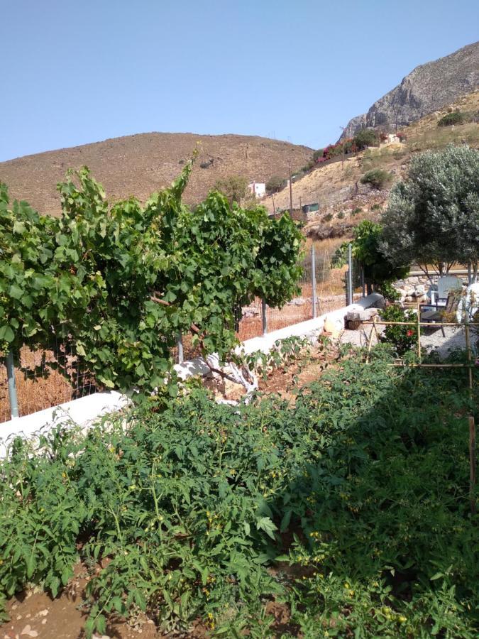 Villa Polymnia Emborios エクステリア 写真